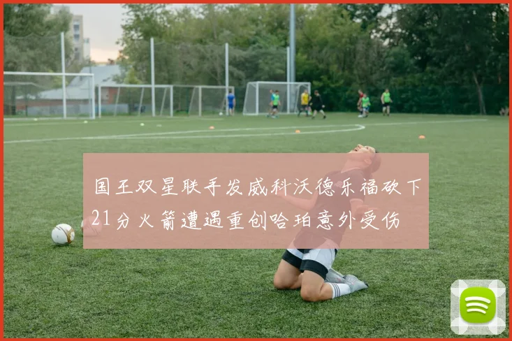 国王双星联手发威科沃德乐福砍下21分火箭遭遇重创哈珀意外受伤