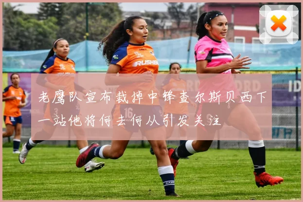 老鹰队宣布裁掉中锋查尔斯贝西下一站他将何去何从引发关注