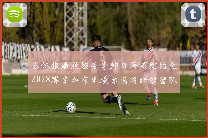 东体报道颜骏凌李帅与海港续约至2028赛季加布里埃尔或将继续留队