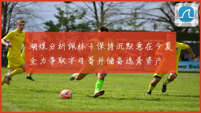 湖媒分析佩林卡保持沉默意在今夏全力争取字母哥并储备选秀资产