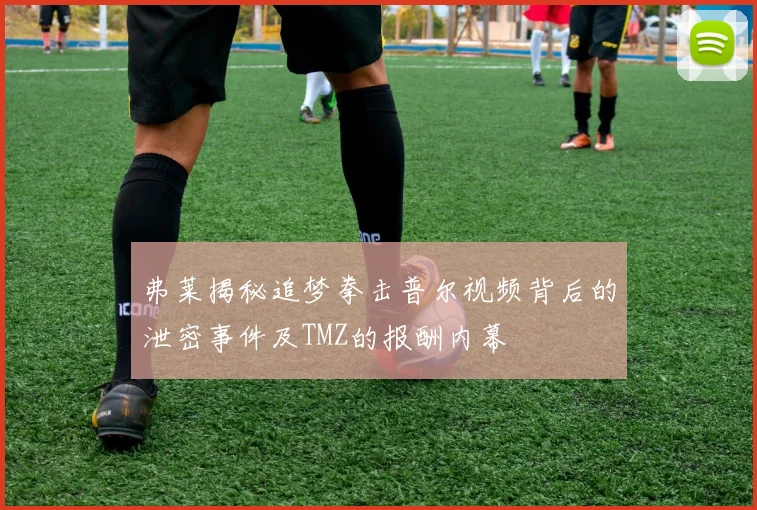 弗莱揭秘追梦拳击普尔视频背后的泄密事件及TMZ的报酬内幕